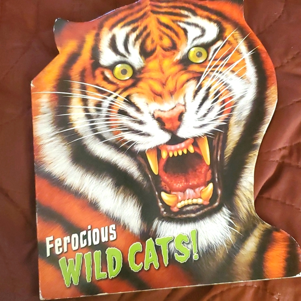 Ferocious Wild Cats!  Book